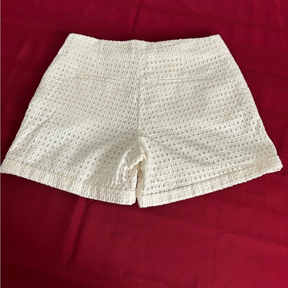 H&M- Lace Embroidered-White Shorts-Ladies Size-10-NWOT withSilk-Lining.VeryNice. - Picture 3 of 9